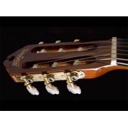 Washburn Classical Series C5 Acoustic Guitar, Rosewood Fretboard, Natural