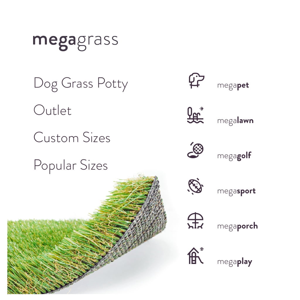 MegaGrass Pomeranian 20 x 30 in Artificial Grass for Small Pet Dog Potty Indoor/Outoor Area Rug