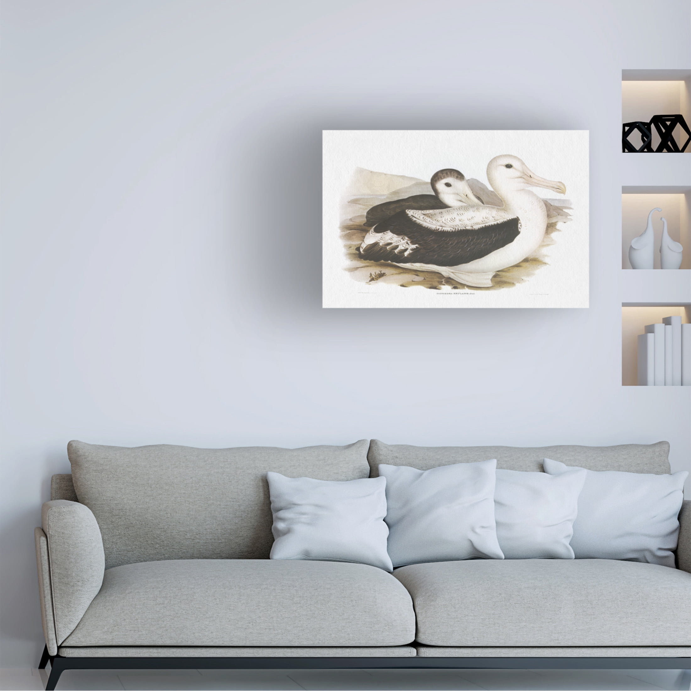 Trademark Fine Art Elizabeth Gould  Seabird Pairing III Canvas Wall Art