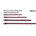 thumbnail image 4 of DogLine - Biothane Waterproof Dog Collar Strong Coated Nylon Webbing with Black Hardware Odor-Proof for Easy Care Clean High Performance Fits Small Medium Large Dogs(Berry: L: 22" - 25" |W 1"), 4 of 8