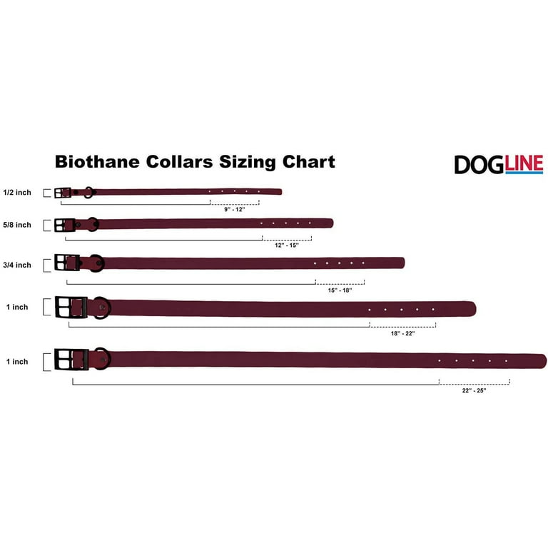 Webbing: Mini Berry in Black 1 Webbing: Mini Berry in Black 1