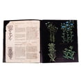 thumbnail image 3 of Plantas Silvestres E Infusiones Curativas Lexus Editores Atlas Ilustrado, 3 of 4