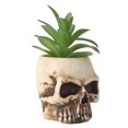 thumbnail image 3 of Skull Plant Pot Human Skull Artificial Craft Planter Supplies, 3 of 7