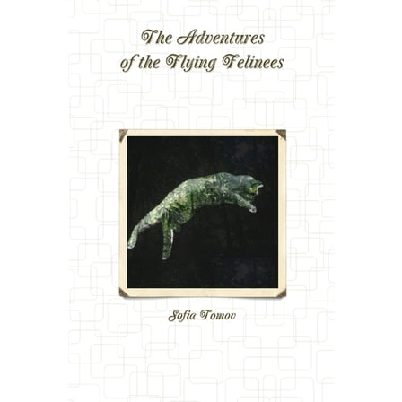 The Adventures of the Flying Felinees, (Paperback)