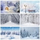 thumbnail image 2 of Fondos fotográficos con escena de nieve y árboles en el bosque invernal de Yeele para sesión fotográfica, decoración, fondos fotográficos para estudio fotográfico, 2 of 5