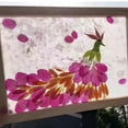 thumbnail image 4 of veasfak Paper Making Frame Screen Tool Arts Kid DIY Paper Craft Supply Sets 20x30cm, 4 of 8