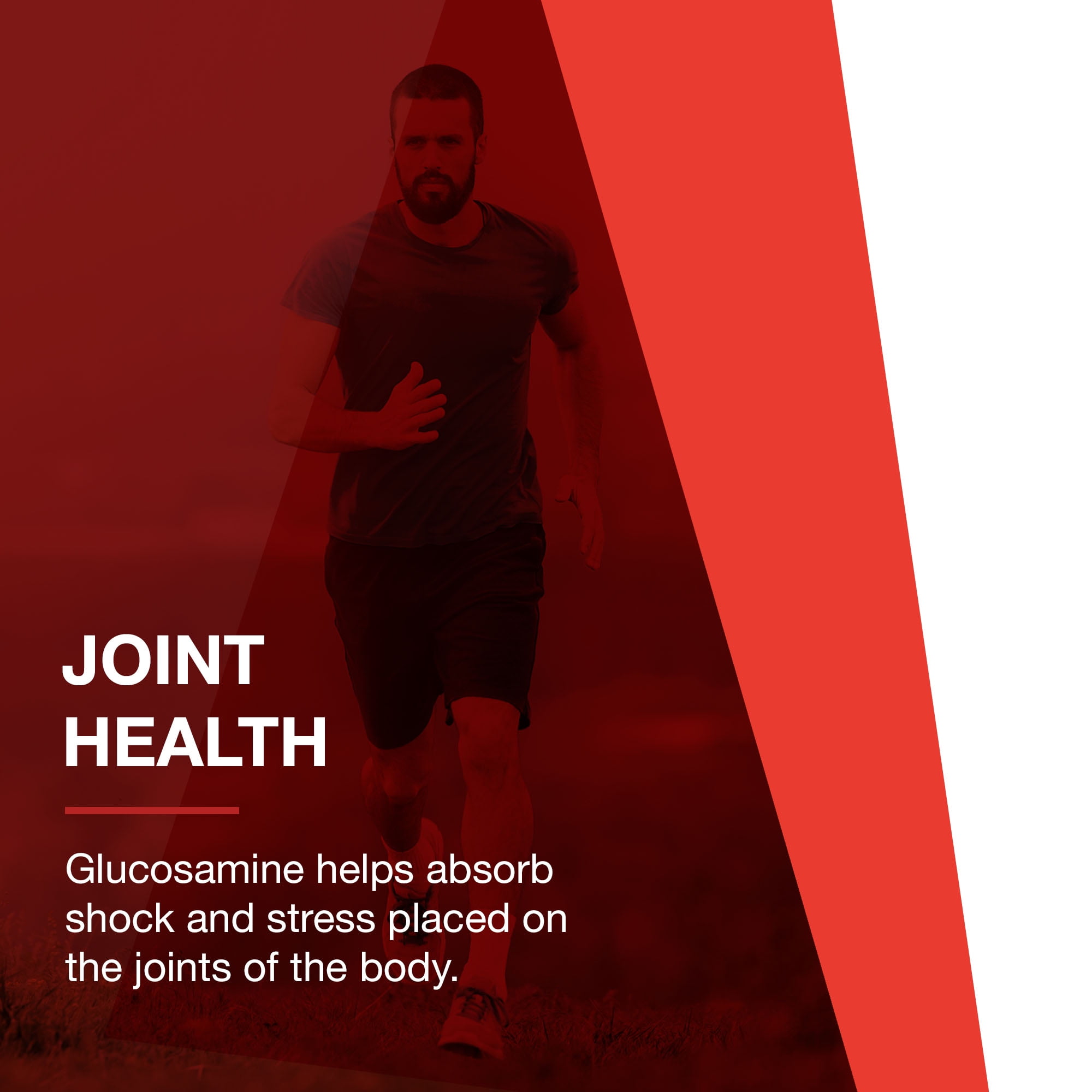 Protocol for Life Balance Glucosamine Chondroitin MSM - Joints - 180 Caps