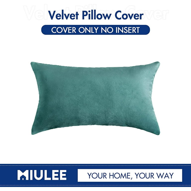 miulee MIULEE 18x18 Inch Black Velvet Pillow Covers Set and 18x18