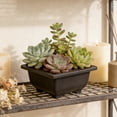 thumbnail image 4 of Naittoop Herb Window Boxes,Black Plantser, Flower Rectangular Plastic Pot for Balcony, Office, Windowsill, Garden, Indoor Outdoor Decor 4.7*4.7*2.4 in, 4 of 6