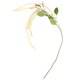 thumbnail image 5 of VERDANVERSE Rama Artificial De Flores Colgantes Para De Bodas Y Ambientación Del Hogar, 5 of 7