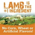 thumbnail image 4 of NutriSource Soft  Tender Lamb Dog Treats 14oz, 4 of 6