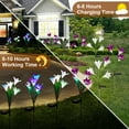 thumbnail image 3 of 2 pack Outdoor Solar Lights, Solar Garden Lights with 8 Lily Flowers, Color Changing LED Decorative Landscape Light for Patio, Yard, White and Purple, 3 of 9