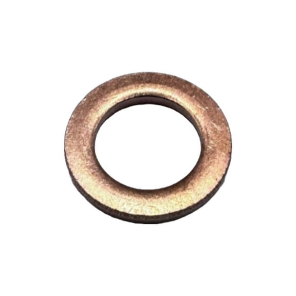 Kawasaki OEM Fork Drain Bolt Crush Washer Multi-Fit 44045-051