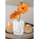 thumbnail image 4 of Set de 4 portavelas Serene Spaces Living de cristal acanalado, 4 of 6