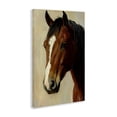 thumbnail image 2 of Stupell Industries Rustic Lodge Beautiful Brown Horse Portrait Canvas Art, 20 x 30, by Petals Prints Design, 2 of 8