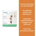 thumbnail image 2 of McKesson Unisex Breathable Overnight Baby Diapers, 12-Hour Absorption, Size 4 - 22 to 37 lbs, 31 Count, 4 Packs, 124 Total, 2 of 11