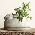 thumbnail image 2 of Rabbit Planter Bunny Flower Pot with Saucer, Cast Concrete 10" x 5", 2 of 2
