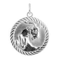 thumbnail image 4 of Reversible Aries Zodiac Sign Charm Coin Pendant Necklace in Sterling Silver (20 Inches), 4 of 4