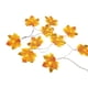 thumbnail image 1 of Cadena de lámpara Guirnalda de luces de hadas de Halloween de 20 pies y 40 ledes, luces colgantes en forma de hoja de arce, iluminación decorativa a batería impermeable blanca cálida Abanopi Cadena de lámpara, 1 of 7