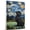 Affenpinscher, variant on Tibetan Spaniel Dog Playing Golf Stretched Canvas Size 8x12 – Sports Dog, Perfect for Animal Lovers, Tibetan Spaniel Dog Canvas, Golf Canvas Size Wall Art