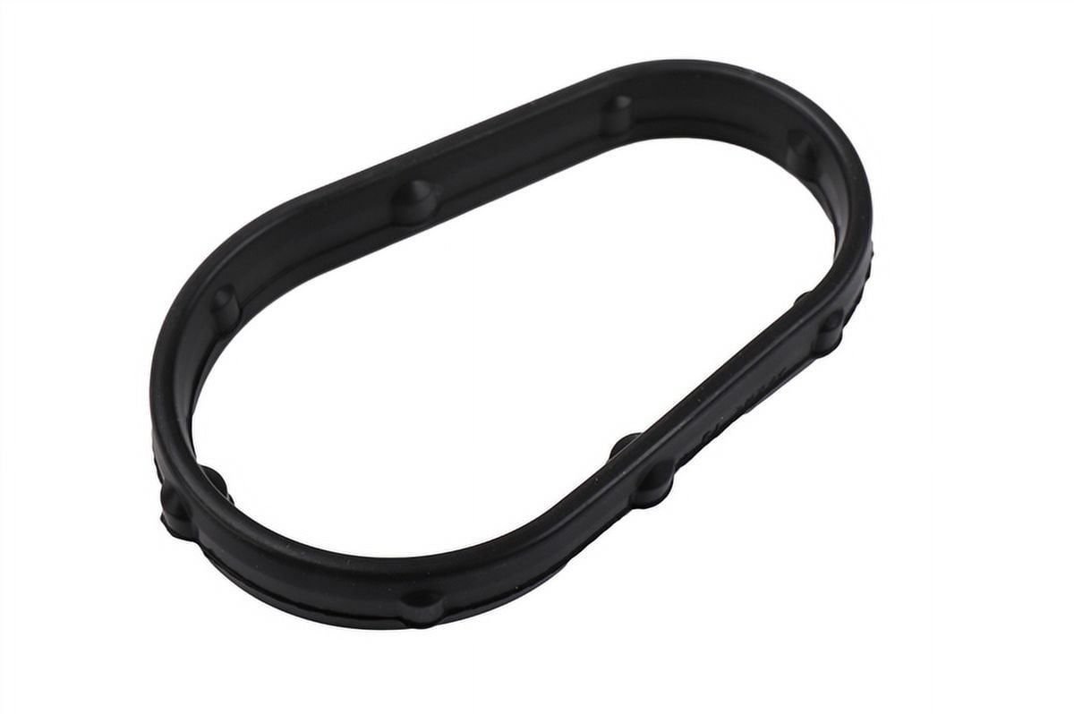 Engine Oil Cooler Seal