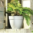 thumbnail image 2 of Jacinto Recycled Planter, 10 inch Opening Diameter, Cream Color, 2 of 7