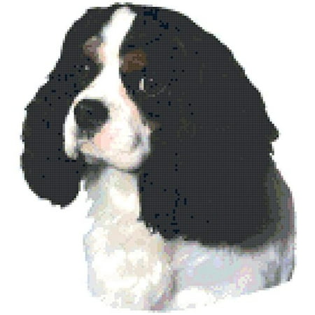 Tri Cavalier King Charles Spaniel - Tri Color Cavalier King Charles Spaniel Dog Portrait Counted Cross Stitch Pattern