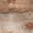 Color 4, variant on Peel and Stick Wallpaper Mystical Line Art Stars Moon Beige Tones Wall Mural 17.7in x 9.8ft Self Adhesive Removable Wall Paper Renter Friendly Wallpaper for Nursery Bedroom Cabinets