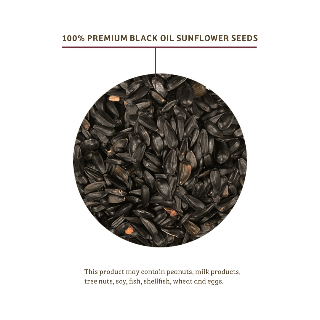 Birds Choice Black Oil Sunflower Wild Bird Food - 15 lbs.