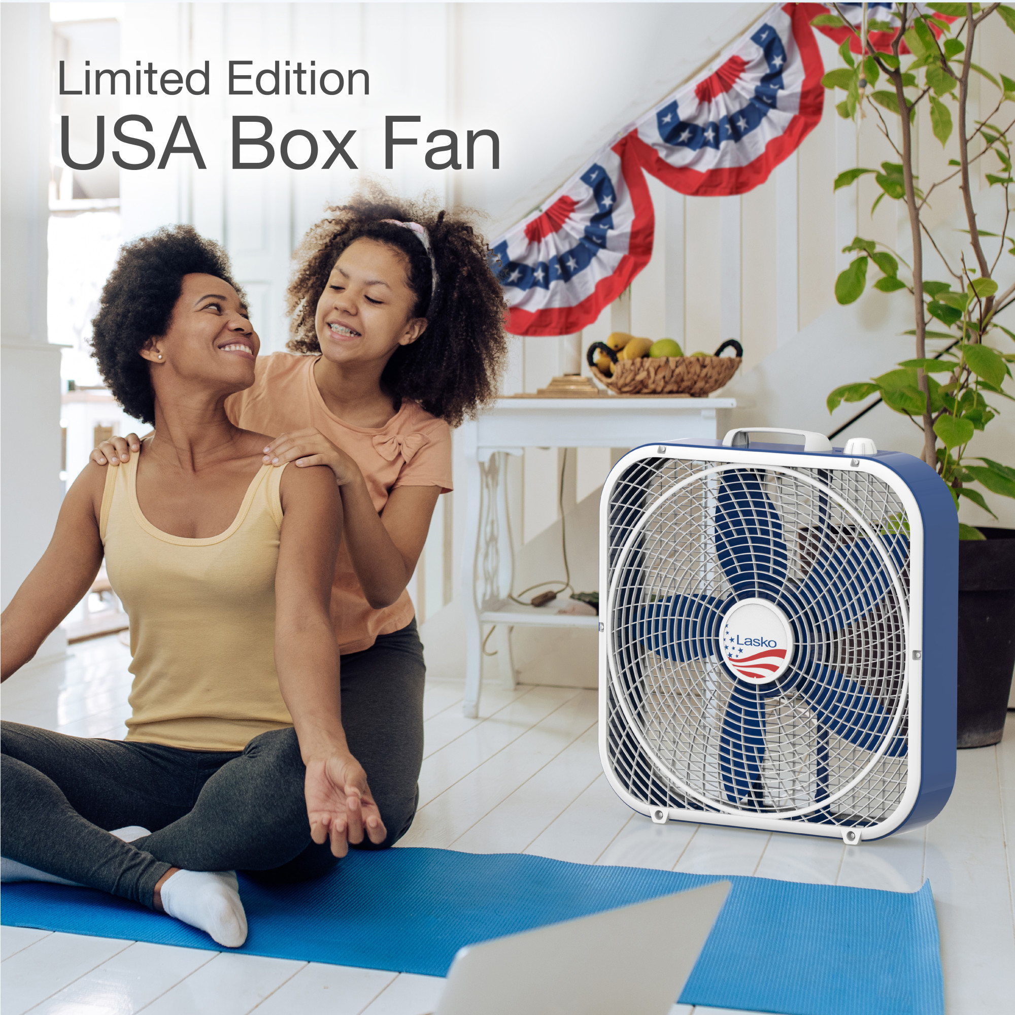 Lasko 20" Limited Edition Box Fan with 3 Speeds, 22.5" High, Red, White & Blue, B20610, New - image 3 of 11