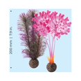 thumbnail image 3 of biOrb Small Pink Kelp Plant Set - Aquarium Plant Decoration, 3 of 6