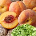 thumbnail image 1 of Peach Cilantro Fragrance Oil, 1 of 1