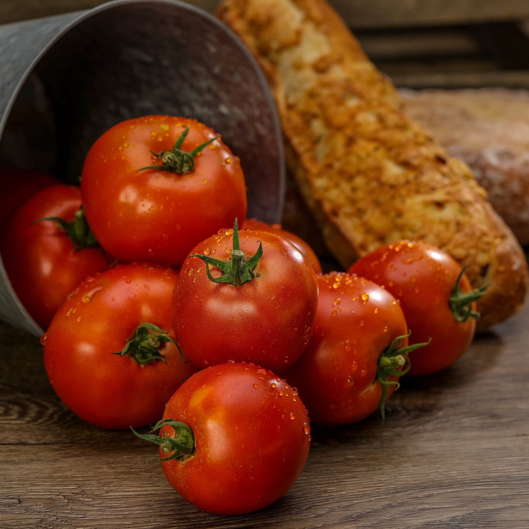 Proven Winners 4" Tempting Tomatoes Garden Treasure Slicing Tomato Live Plant in 4.25" Pot (4 Count)