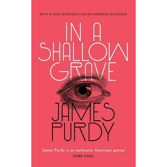 In a Shallow Grave (Valancourt 20th Century Classics) (Paperback)