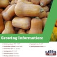 thumbnail image 2 of Harris Seeds - Organic Honeynut Butternut Squash Seeds Home Garden Planting - 1,000 Seeds, 2 of 7
