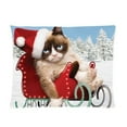 thumbnail image 1 of QIFEIHA Grumpy Cat Worst Christmas Ever Pillowcase Cushion Cover Two Sides Printing Size 20x30 inch, 1 of 2