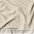 thumbnail image 2 of Bare Home Pillow Sham Set - Premium 1800 Collection - Double Brushed - Euro, Sand, 2 of 7