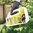 thumbnail image 3 of Bonide MoleMax Mole & Vole Repellent Granules, 5 lbs. Ready-to-Use Mole Control Deterrent, 3 of 6