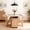 Light Oak + Slate, variant on GDF Studio 50.8" Foldable Drop Leaf Dining Table with Rolling Storage Cabinet, White+Walnut