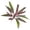 A, variant on Artificial Cordyline Fruticosa Branches, White Green Faux Plant for Indoor Outdoor Vase Arrangement