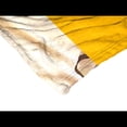thumbnail image 2 of The Northwest Group Fernando Tatis Jr. San Diego Padres 50" x 60" Silk Touch Throw Blanket, 2 of 5