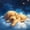 Blue 01, variant on Homewish Boston Terrier Dog Bed Sheets,Kawaii Animal Full Size Sheets,Beige,4pcs,1 Flat Sheet, 1 Fitted Sheet and 2 Pillowcases