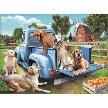 Wendy Gold State Birds 1000 Piece Puzzle / Nejlevnější Knihy