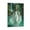 Frame-style, variant on Aztec Mythology Art Poster Chalchiuhtlicue Goddess of Rivers And Lakes 1 Poster Decorative Painting Canvas Wall Art Living Room Posters Bedroom Painting 16x24inch(40x60cm)