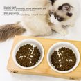 thumbnail image 3 of Bol pour Animaux, Bol d'Eau pour Chien Protection du Cou Bol Incliné pour Intérieur Bol Simple, Double Bol, 3 of 7