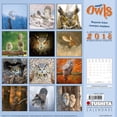 thumbnail image 2 of Magic Owls Wall Calendar, 2018 Birds by Image Connection, 2 of 2