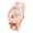 White, variant on Fashion Floral Silicone Watch for Women - Quartz Movement with Alloy Case, Comfortable Strap for Teens & Students