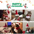thumbnail image 5 of Christmas Cat Costume Santa Hat With Scarf Kitty Xmas Outfit Apparel Pet Santa Claus Set For Kitten, Puppy, 5 of 5