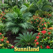 Sunniland Palm Fertilizer, 6-1-8, 20 lb. Bag