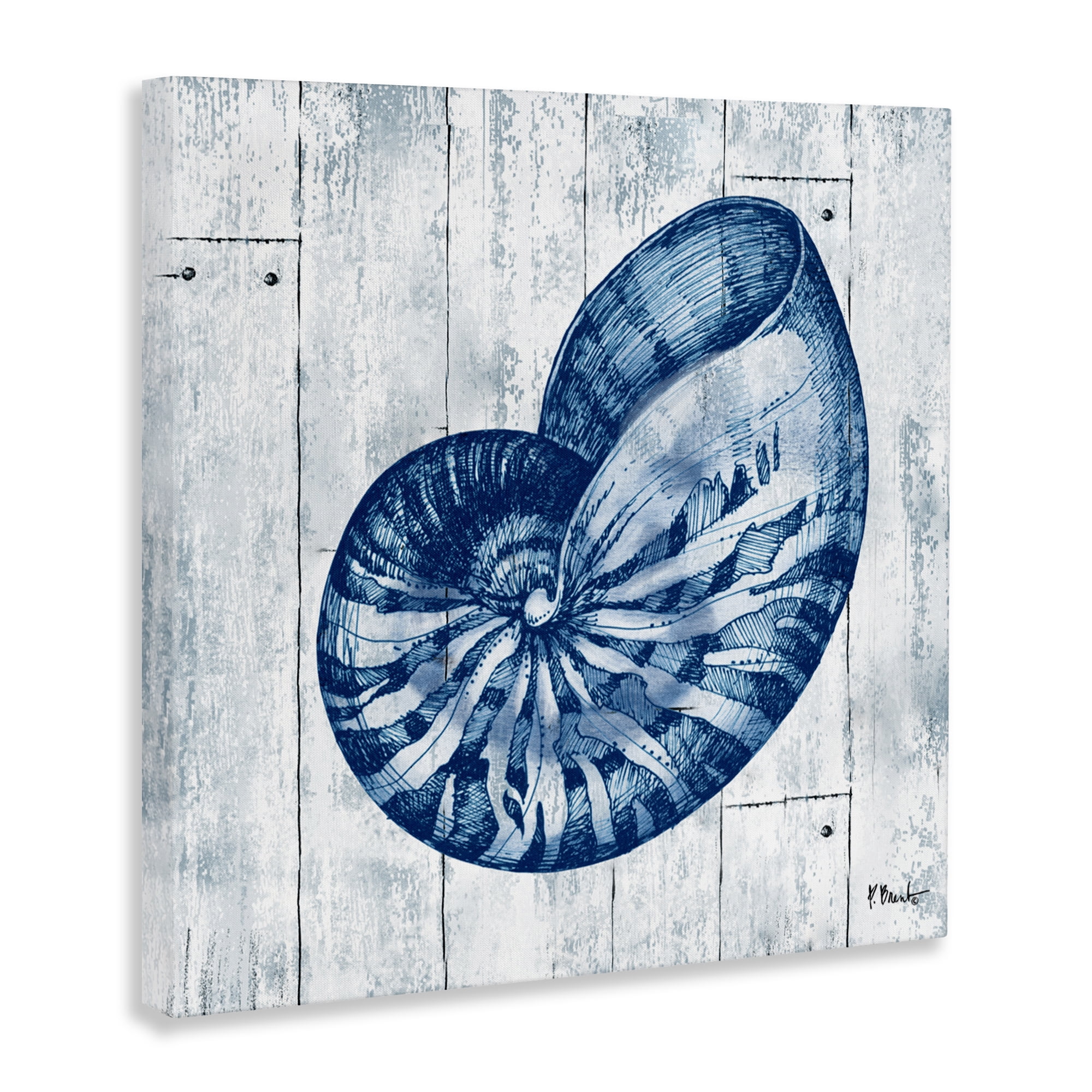 Stupell Industries Coastal Timberland Nautilus Canvas Wall Art, design by Paul Brent